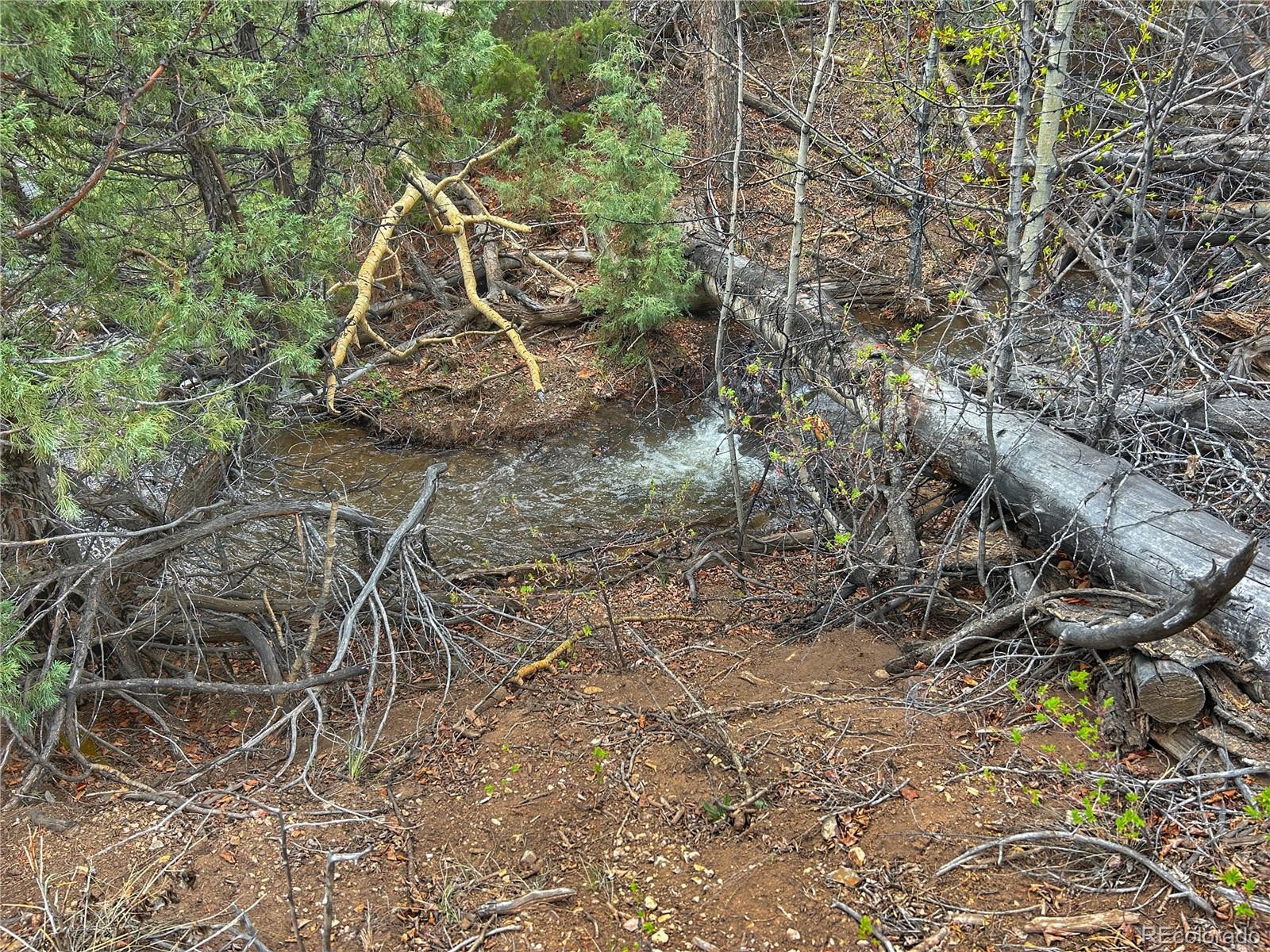 52601 County Rd LL56 Villa Grove, CO 81155 - Photo 21 of 33 a view of a backyard with plants and large trees
