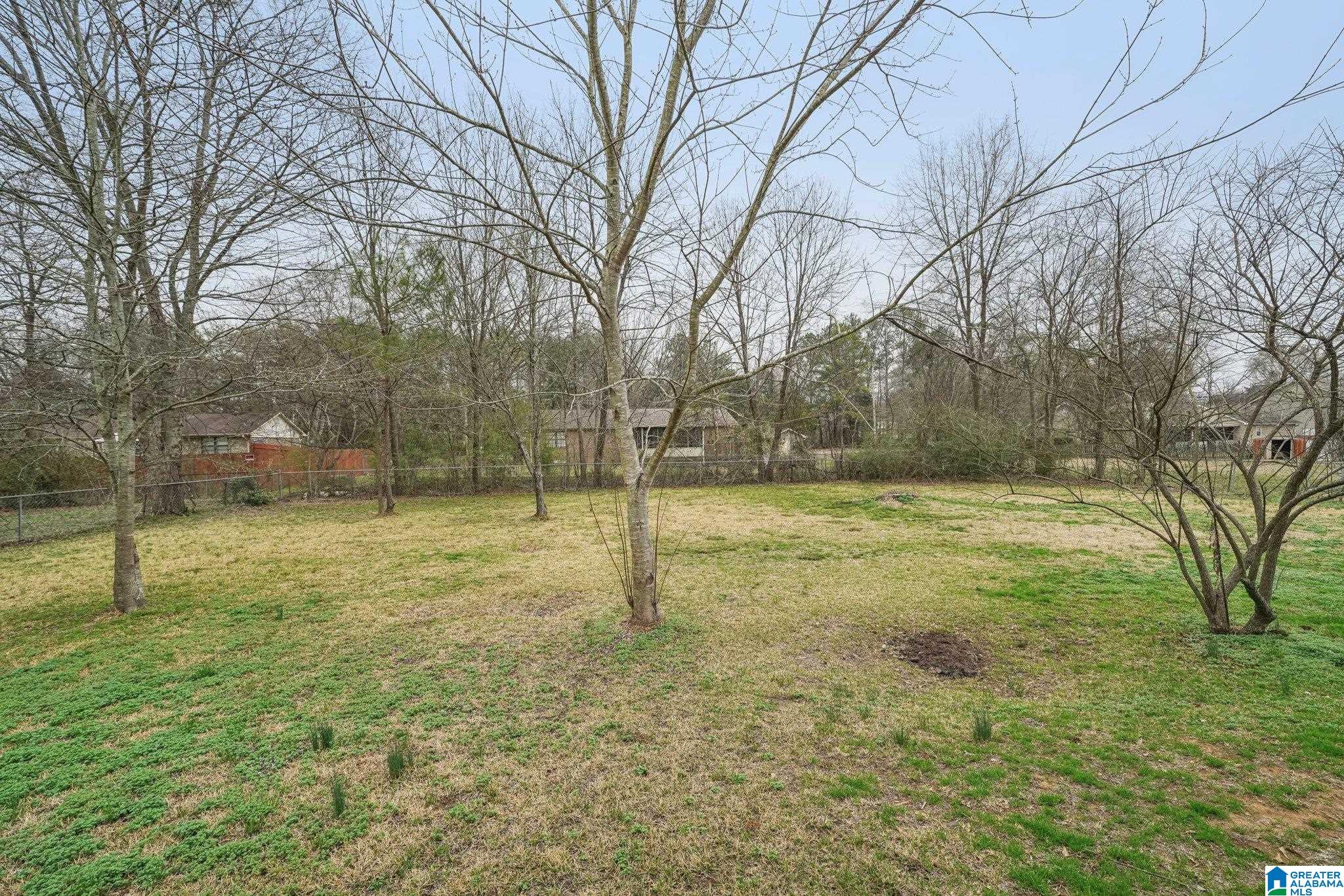 5126 Rye Circle Helena, AL 35080 - Photo 38 of 39