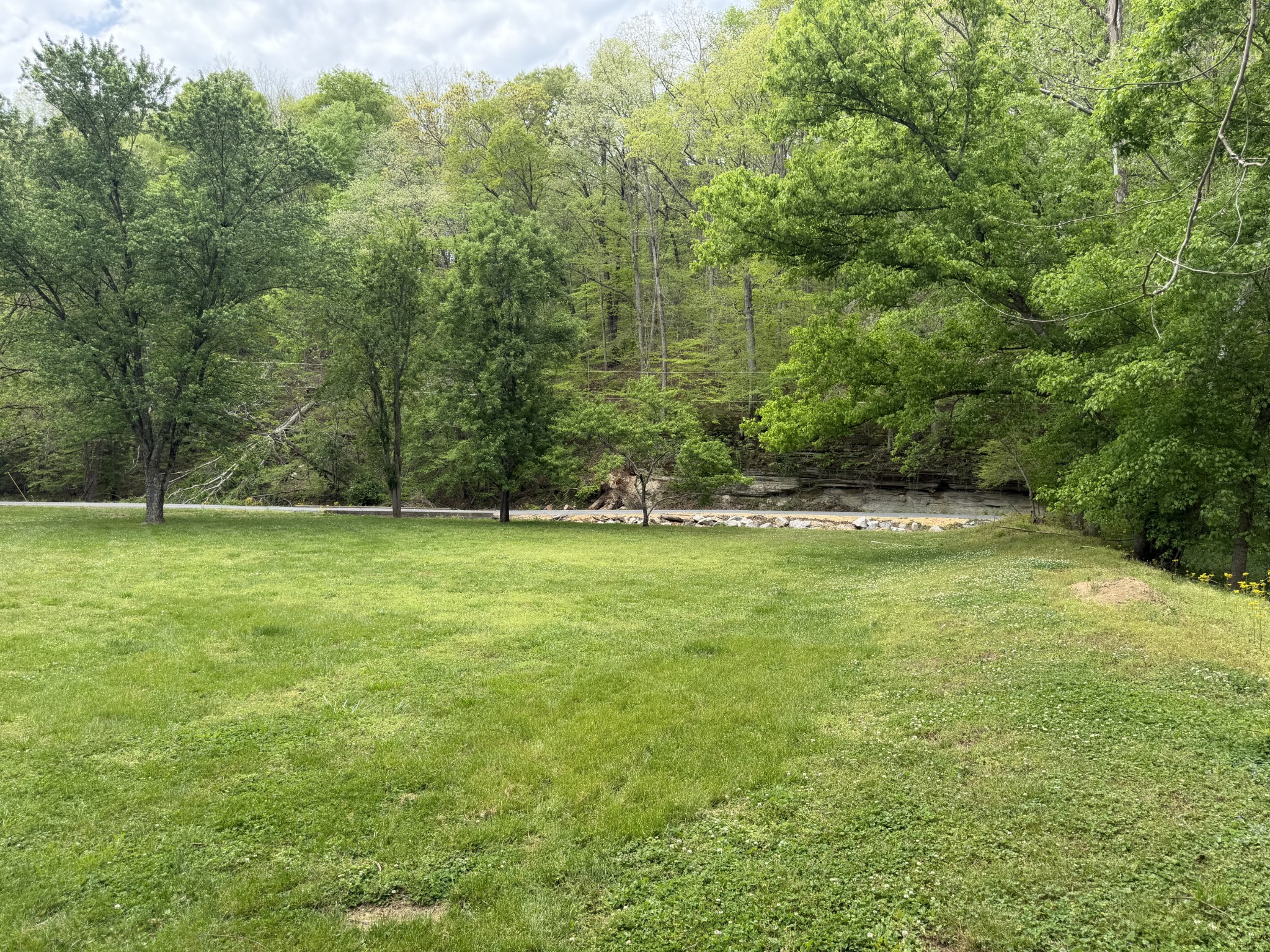 580 Defeated Creek Road Centerville, TN 37033 - Photo 67 of 71 a view of outdoor space with deck and yard