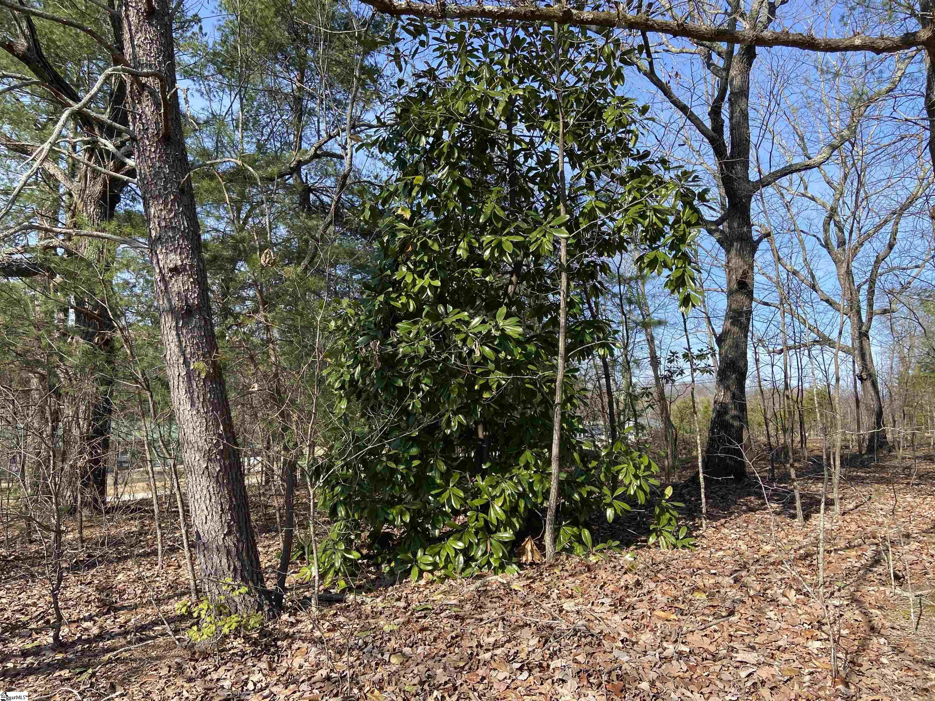 300 Belvue Road Travelers Rest, SC 29690 - Photo 11 of 11 Gallery Image 11
