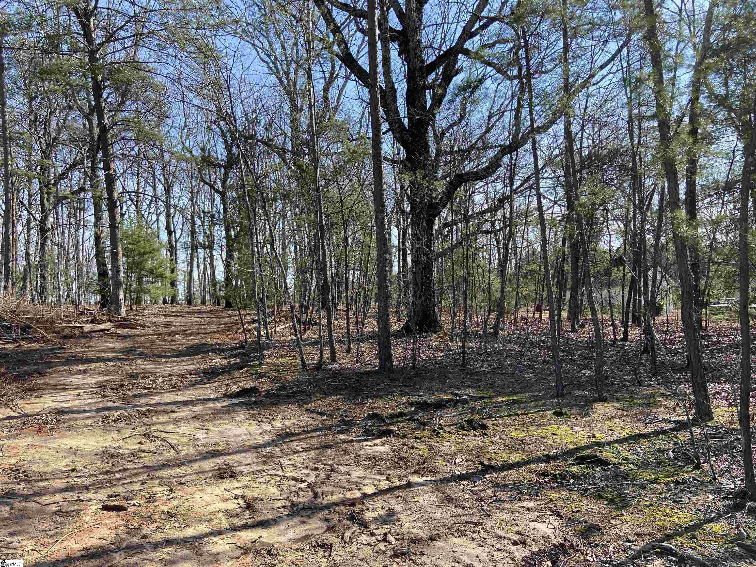 300 Belvue Road Travelers Rest, SC 29690 - Photo 2 of 11 Gallery Image 2