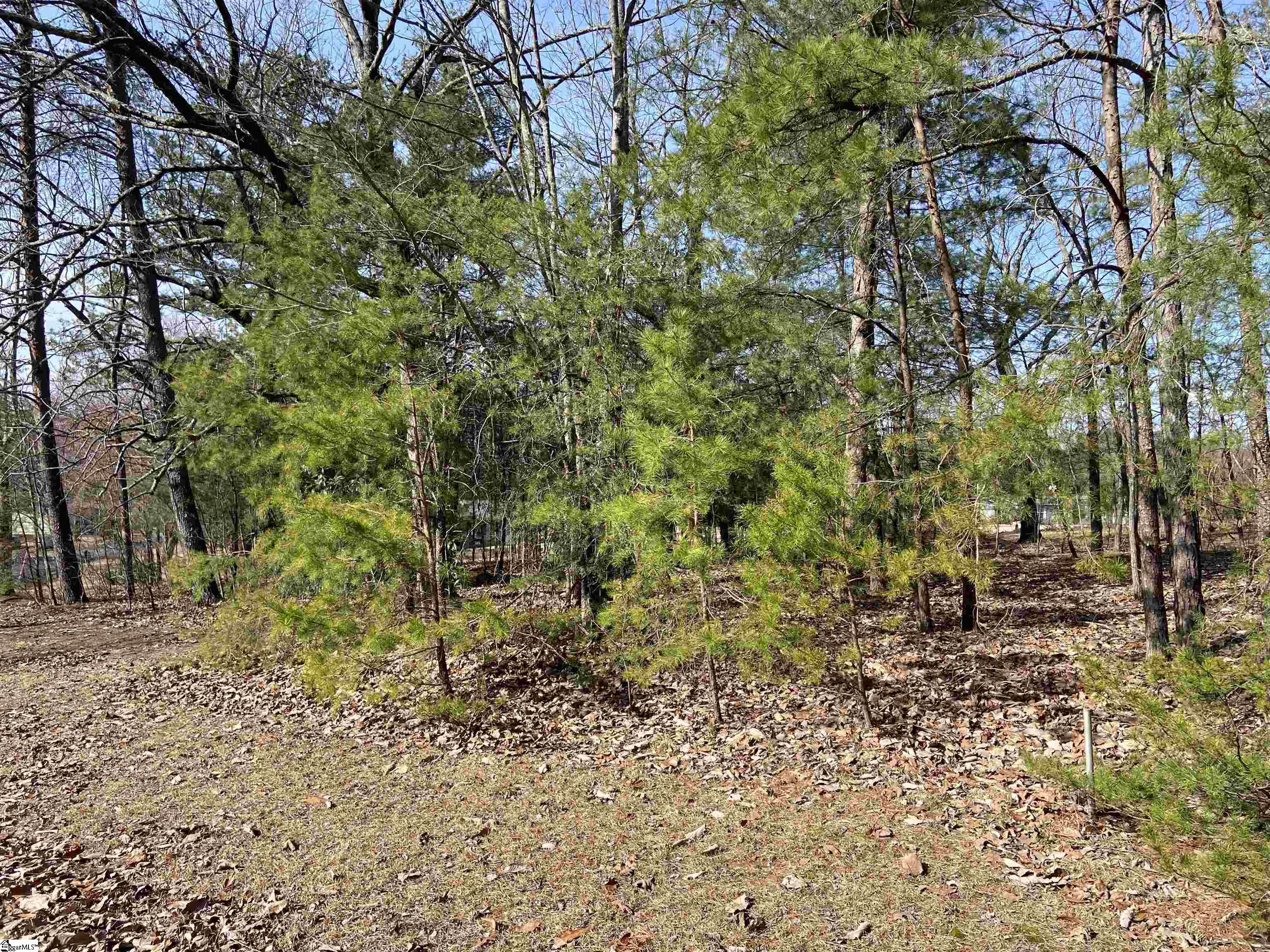 300 Belvue Road Travelers Rest, SC 29690 - Photo 10 of 11 Gallery Image 10