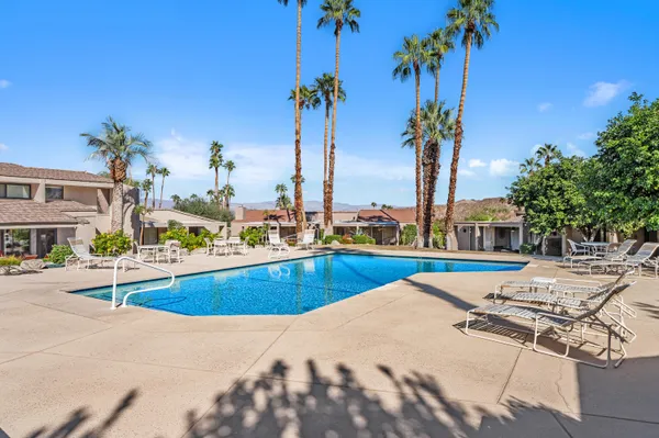 a view of a swimming pool with a lawn chairs and palm tree