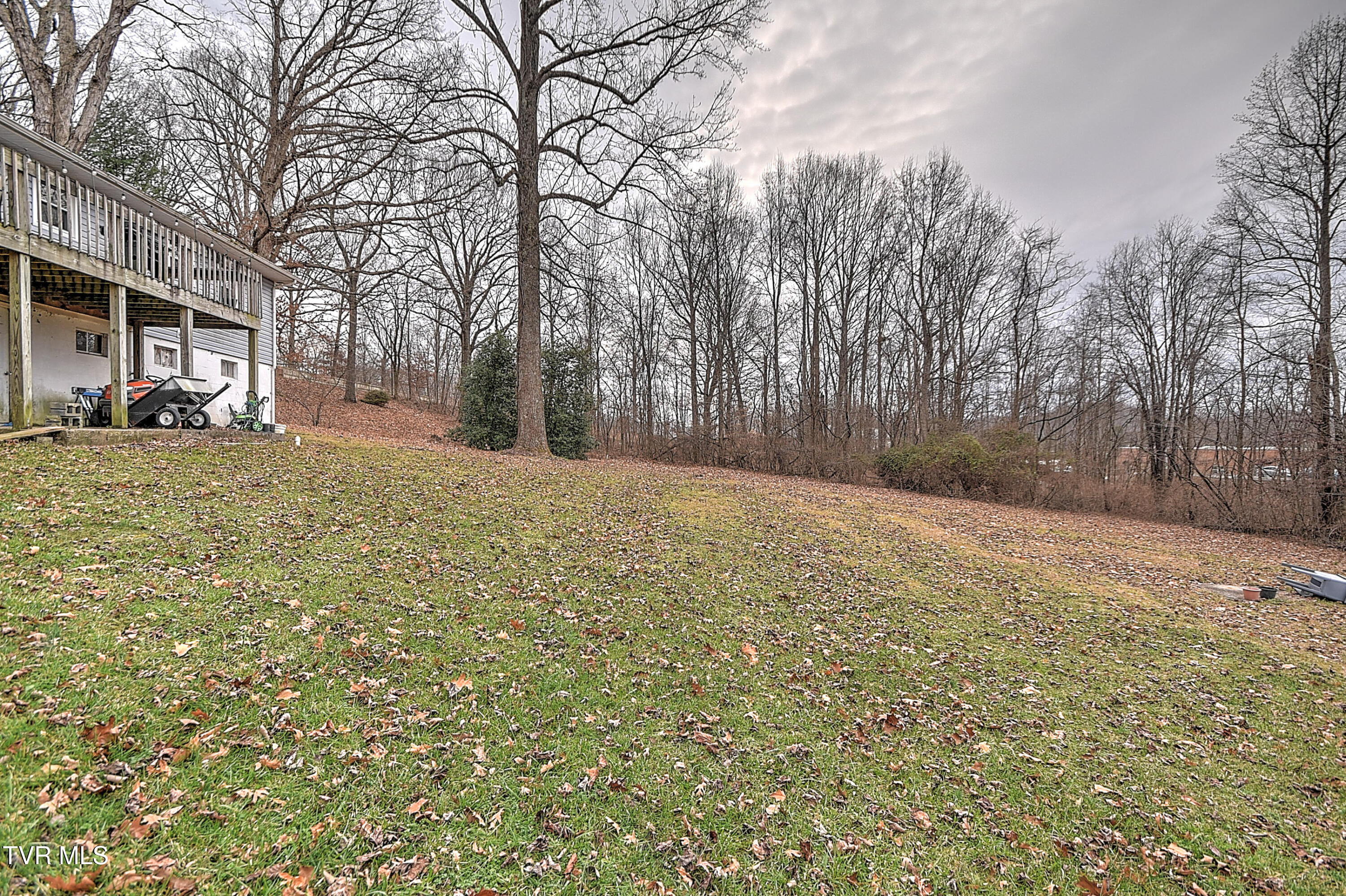 788 Meadow View Road Bristol, TN 37620 - Photo 33 of 39 788 Meadow View MG-33