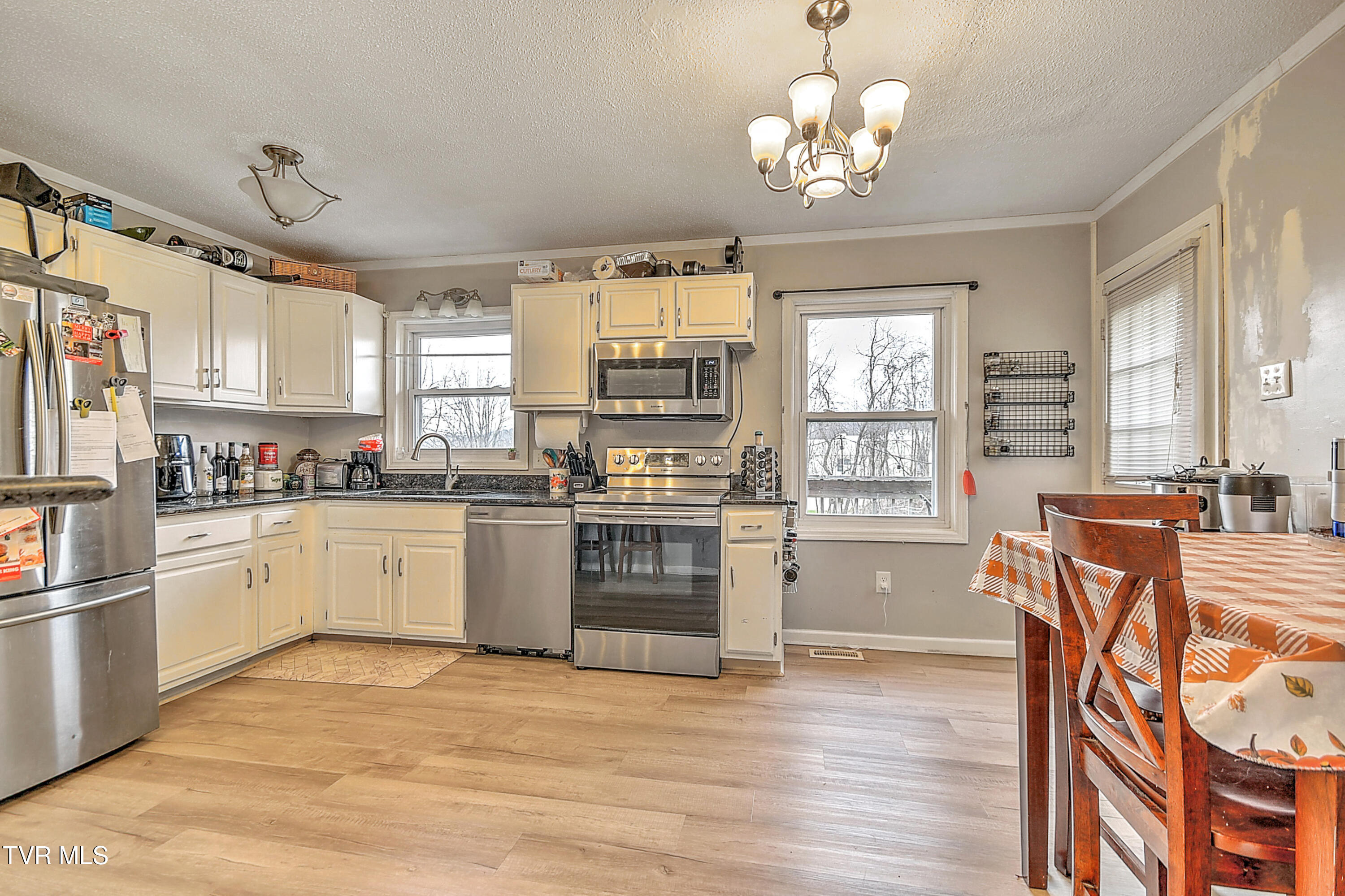 788 Meadow View Road Bristol, TN 37620 - Photo 6 of 39 788 Meadow View MG-16