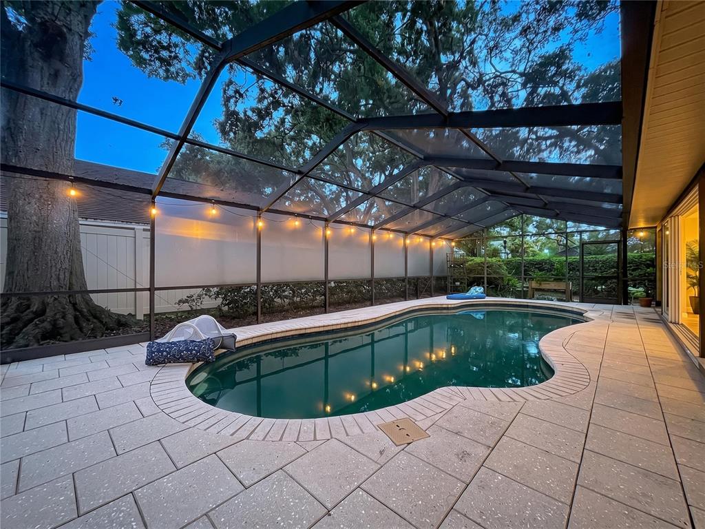 1711 Magdalene Manor Drive Tampa, FL 33613 - Photo 81 of 88