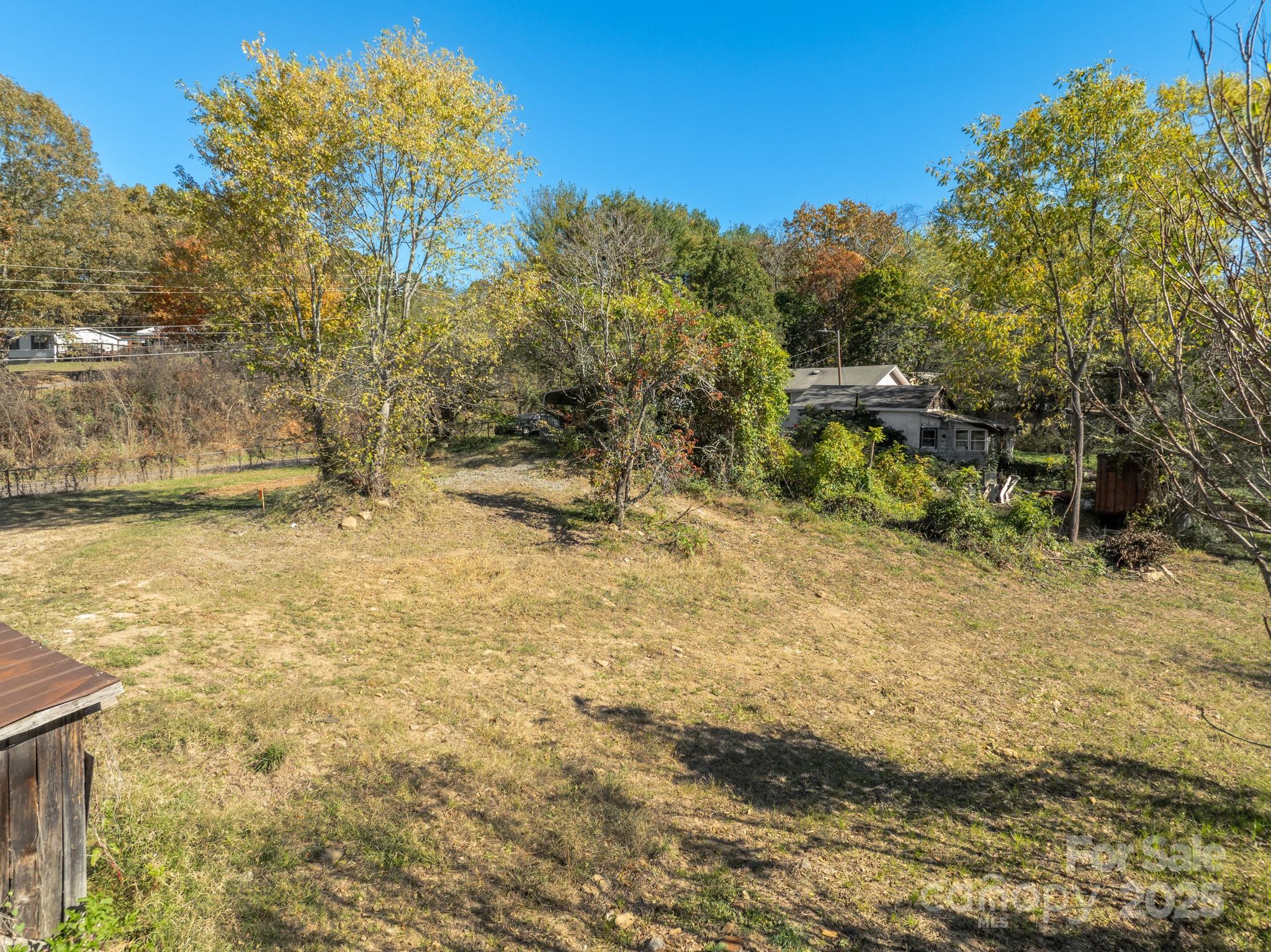 99999 Emma Road, Unit 3 Asheville, NC 28806 - Photo 5 of 10 a view of a yard with a tree