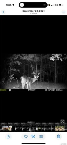 $399,900 | 3014 County Road 2330, Salem, MO 65560