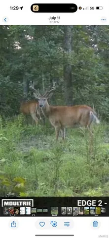 $399,900 | 3014 County Road 2330, Salem, MO 65560