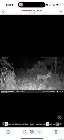 $399,900 | 3014 County Road 2330, Salem, MO 65560