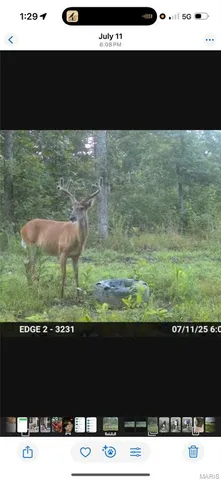 $399,900 | 3014 County Road 2330, Salem, MO 65560