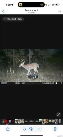 $399,900 | 3014 County Road 2330, Salem, MO 65560