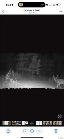 $399,900 | 3014 County Road 2330, Salem, MO 65560