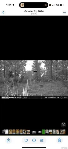 $399,900 | 3014 County Road 2330, Salem, MO 65560