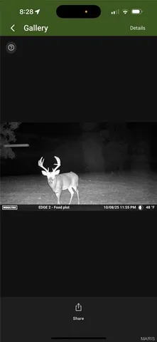 $399,900 | 3014 County Road 2330, Salem, MO 65560