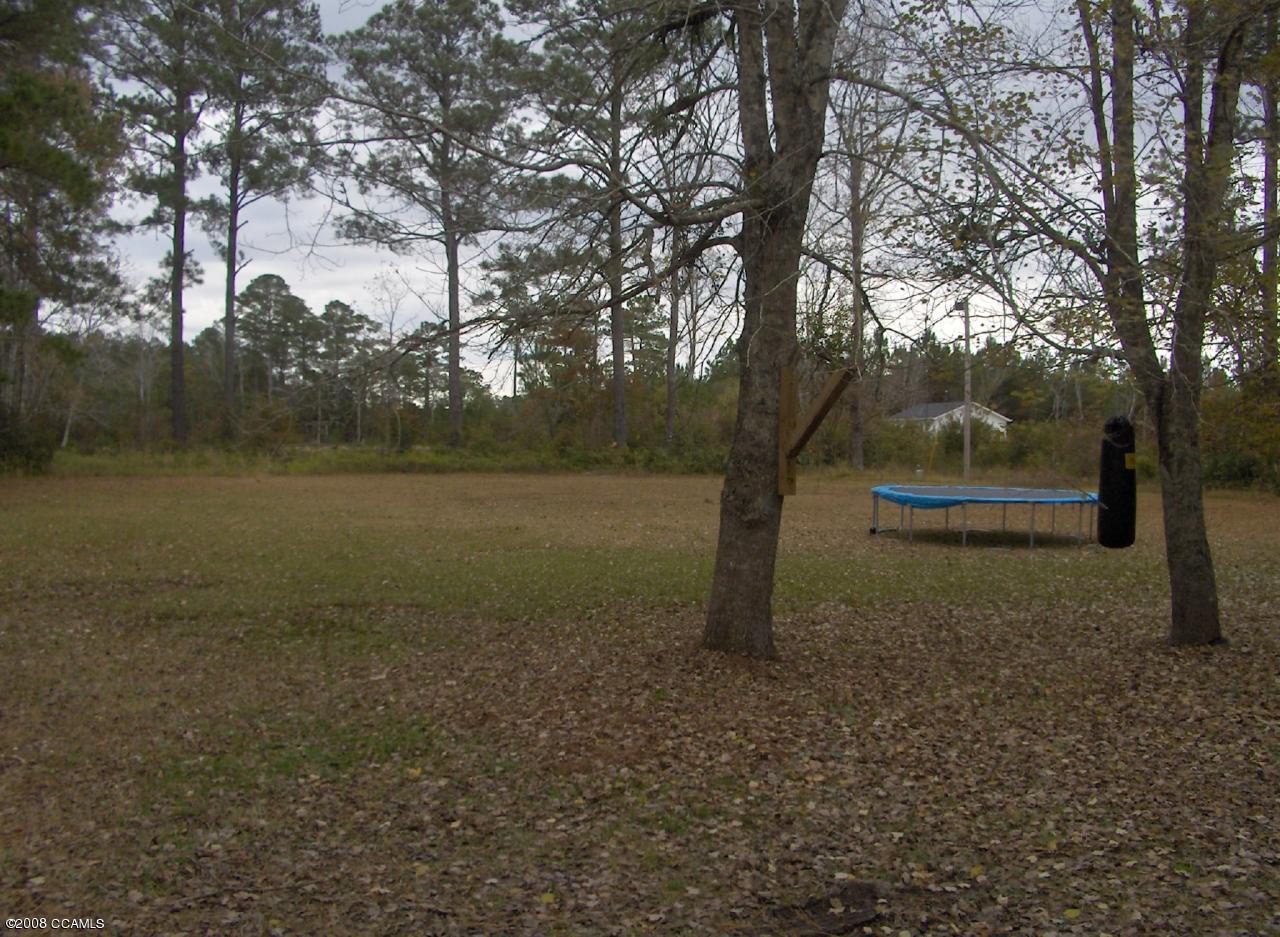 397 Hardesty Loop Road Newport, NC 28570 - Photo 3 of 16 back yard