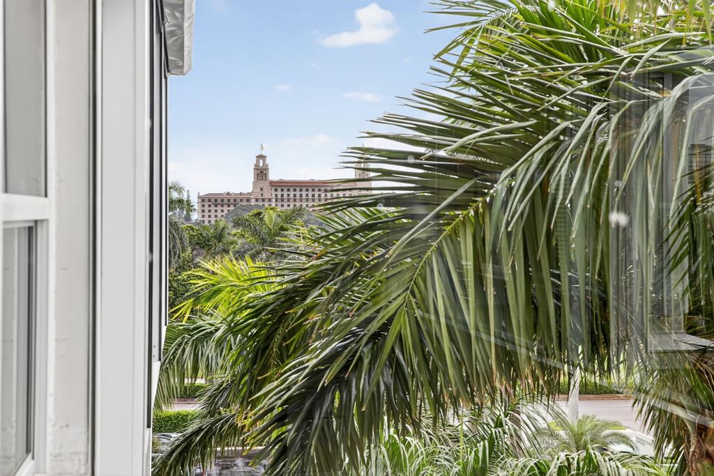 44 Cocoanut Row, Unit 507A Palm Beach, FL 33480 - Photo 32 of 60 a close up of a plant in a garden