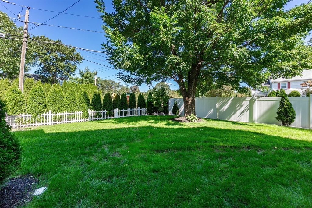 57 Walnut Street Newton, MA 02460 - Photo 10 of 39 a view of garden with trees