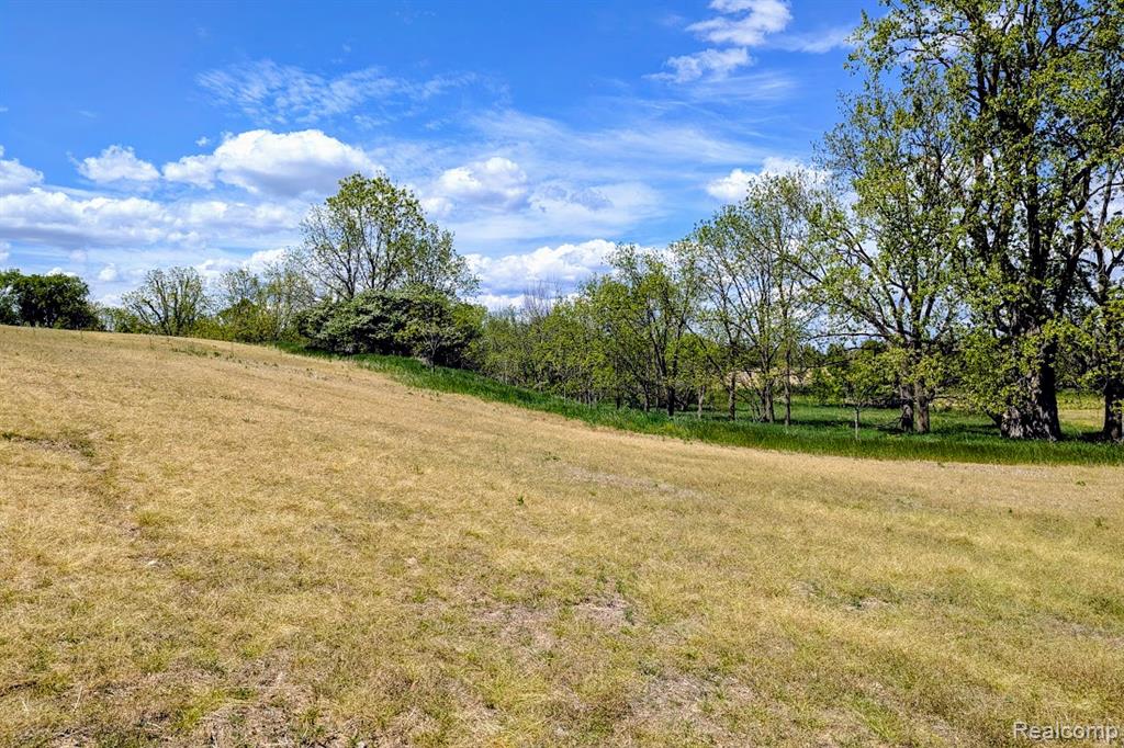 Parcel D - Hogan Road Linden, MI 48451 - Photo 14 of 19