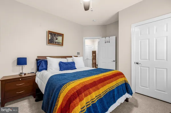 a bedroom with a bed and a walk in closet