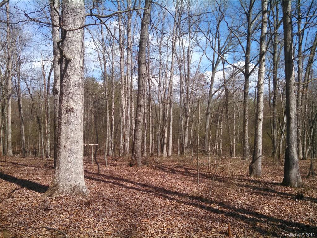 1 George Brown Road Crouse, NC 28033 - Photo 3 of 6 Gallery Image 3