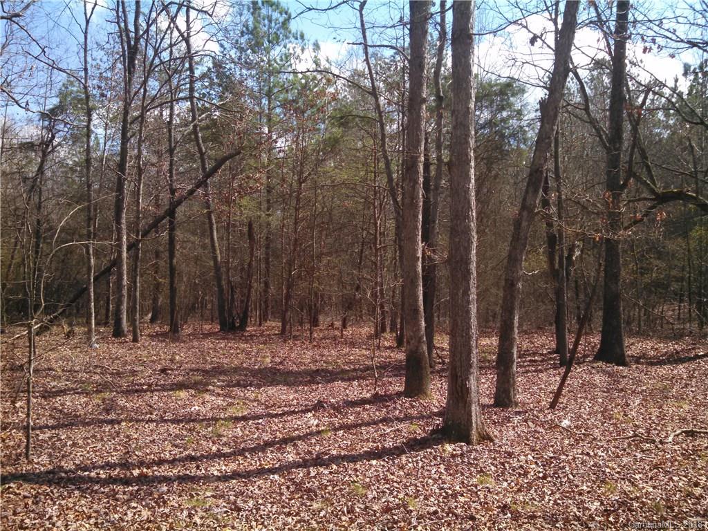 1 George Brown Road Crouse, NC 28033 - Photo 4 of 6 Gallery Image 4