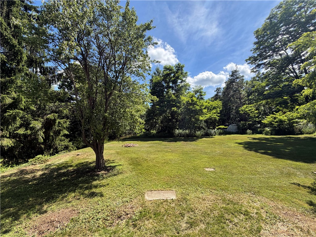 92 Thomas Road Veteran, NY 14845 - Photo 31 of 36