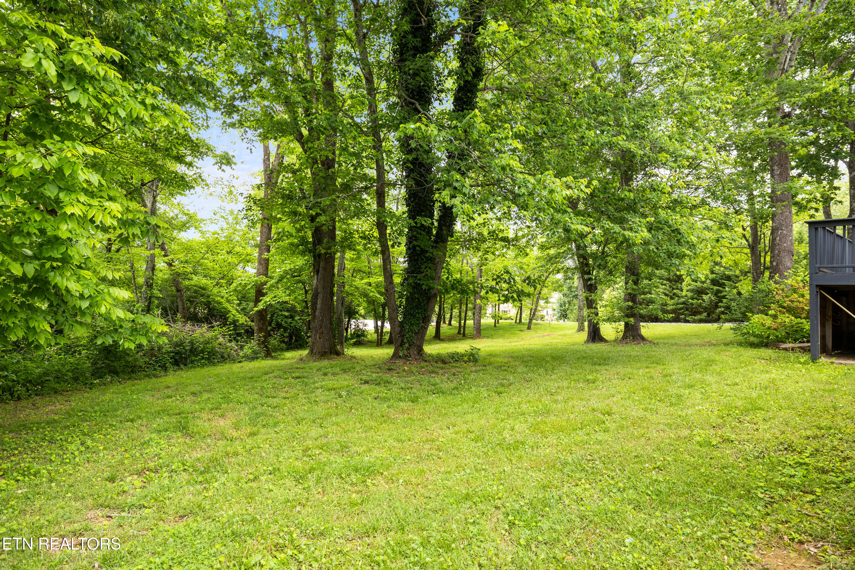 1203 Ridge Road Maryville, TN 37803 - Photo 37 of 41 1203RidgeRd-34