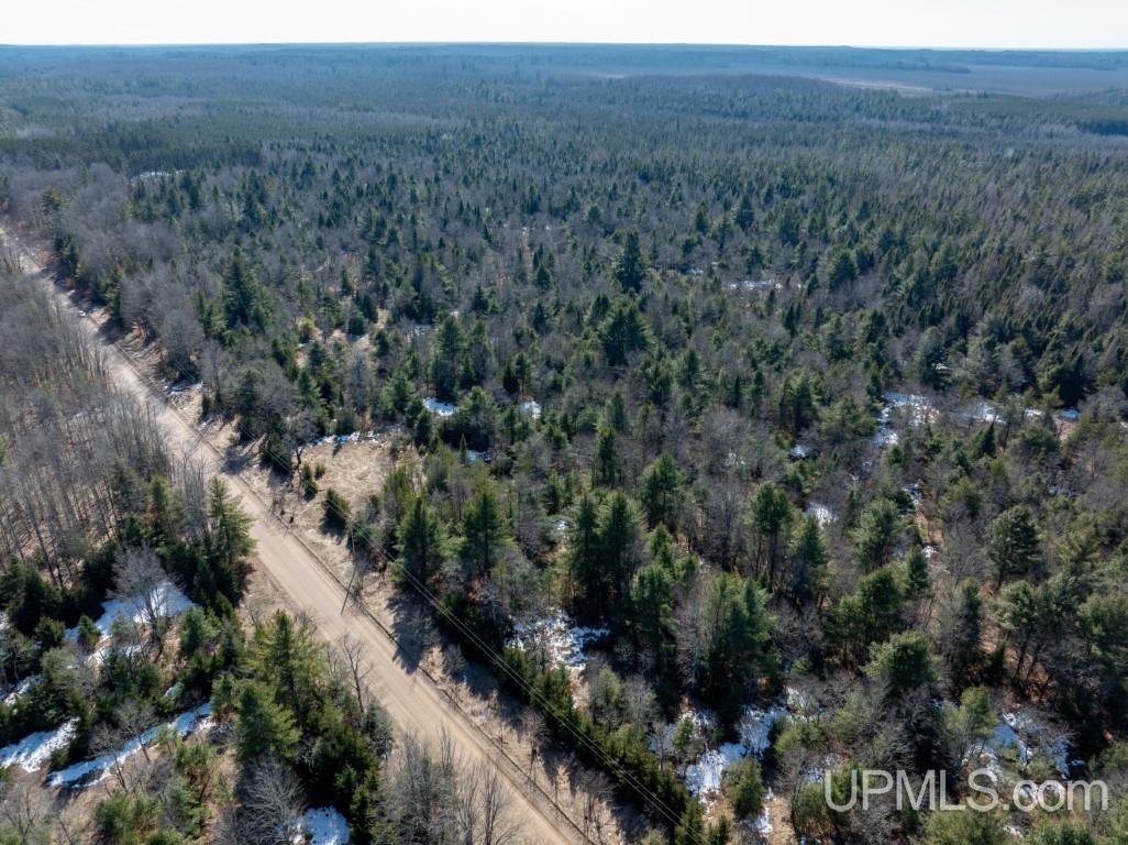 Tbd Dd Road Wetmore, MI 49895 - Photo 10 of 22