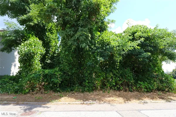 $15,000 | 128 Butte Street, Steubenville, OH 43952