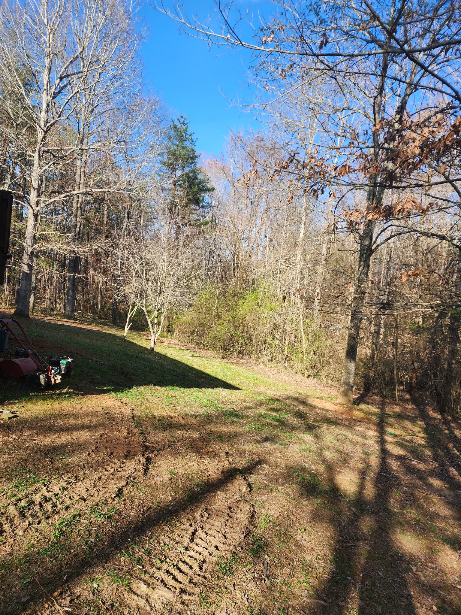 187 Bone Cave Road Rock Island, TN 38581 - Photo 11 of 29 Gallery Image 11