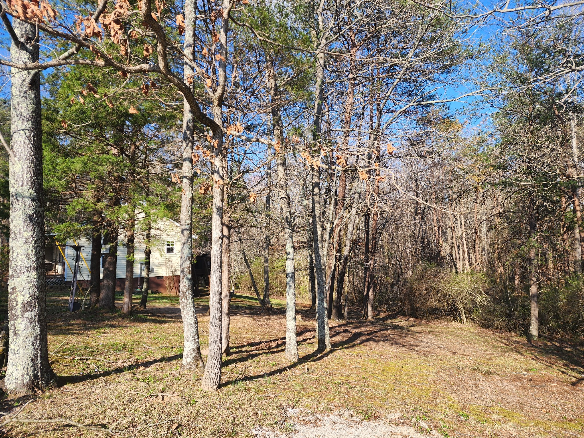 187 Bone Cave Road Rock Island, TN 38581 - Photo 8 of 29 Gallery Image 8