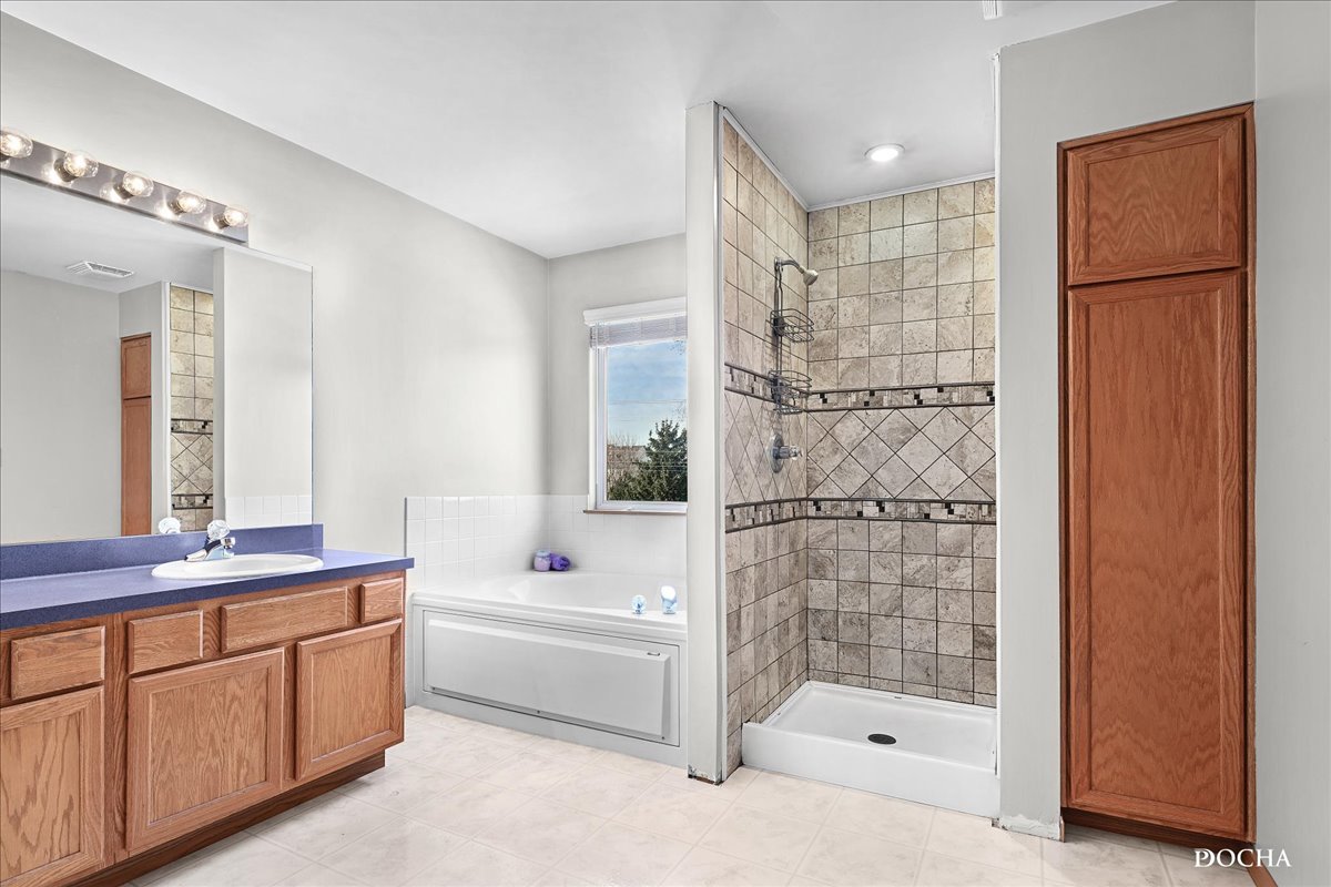 2209 Gray Hawk Drive Plainfield, IL 60586 - Photo 18 of 51 a bathroom with a bathtub shower sink mirror and toilet
