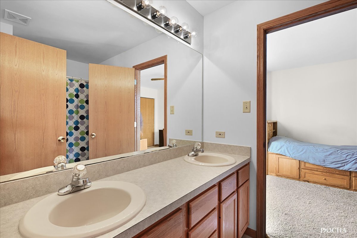 2209 Gray Hawk Drive Plainfield, IL 60586 - Photo 22 of 51 a bathroom with a sink and a mirror