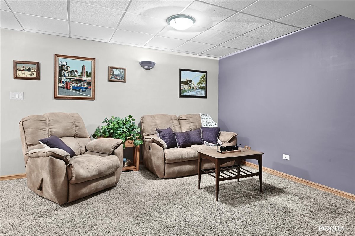2209 Gray Hawk Drive Plainfield, IL 60586 - Photo 26 of 51 a living room with furniture and a potted plant