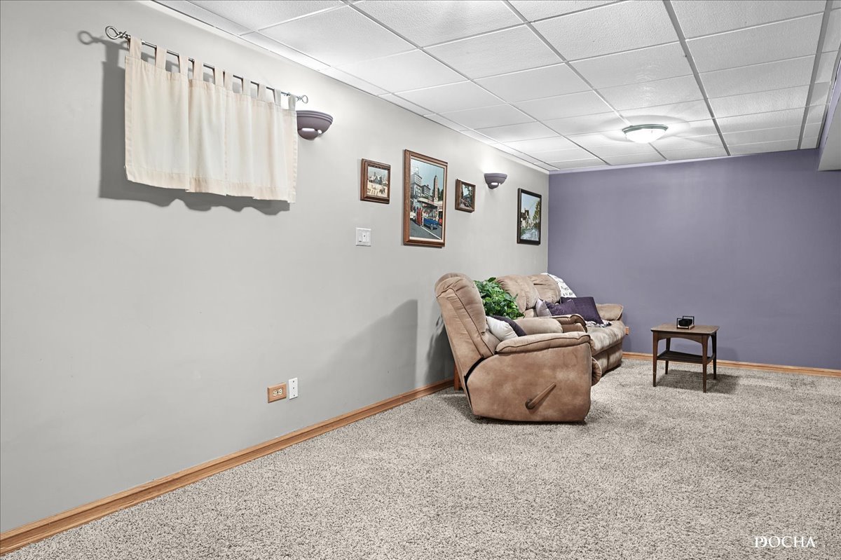 2209 Gray Hawk Drive Plainfield, IL 60586 - Photo 27 of 51 a hallway with furniture and a potted plant