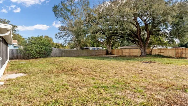 a view of a backyard with a large tree
