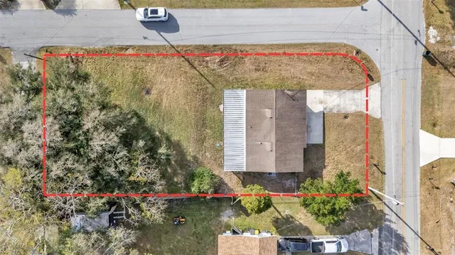 a view of a flower garden in front of flowers