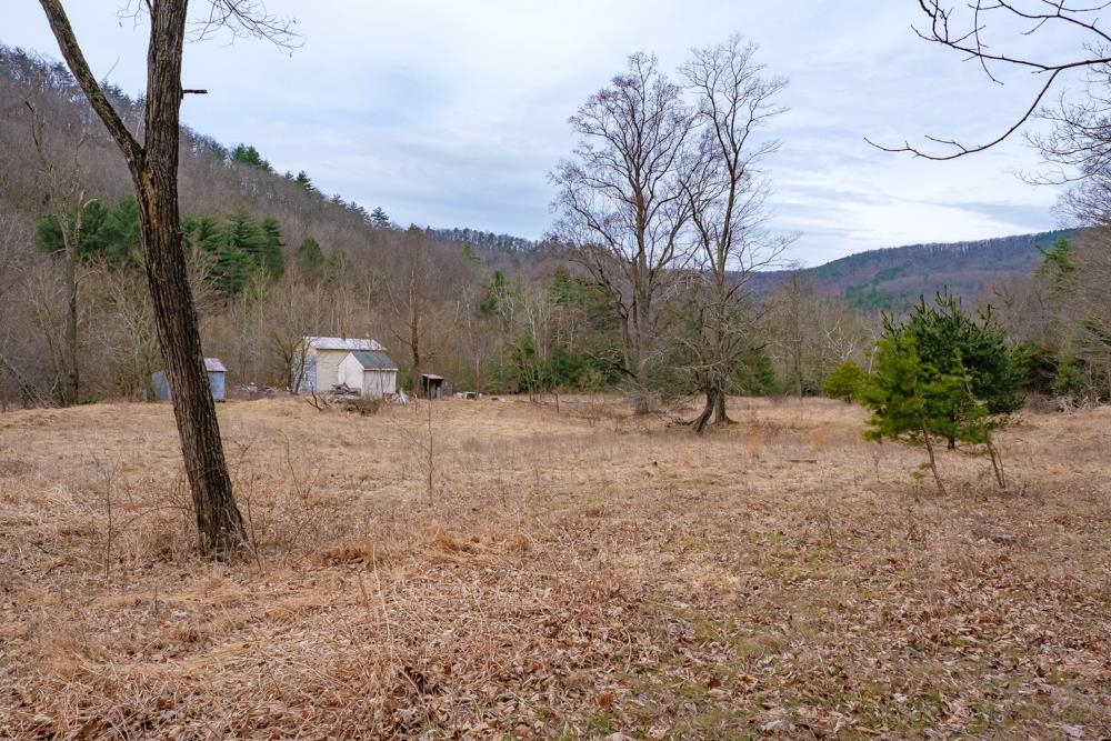 24234 German River Road Criders, VA 22820 - Photo 1 of 16 Gallery Image 1