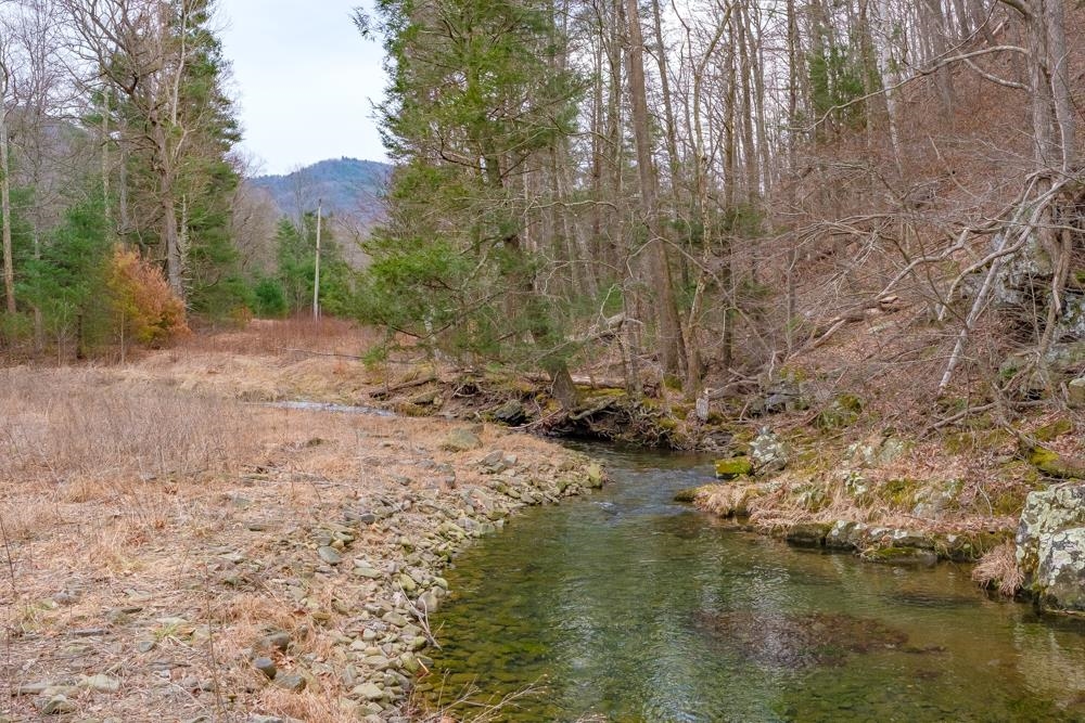 24234 German River Road Criders, VA 22820 - Photo 10 of 16 Gallery Image 10