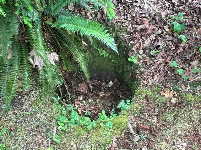 $150,000 | 120-xx 196th Avenue Northeast, Redmond, WA 98053