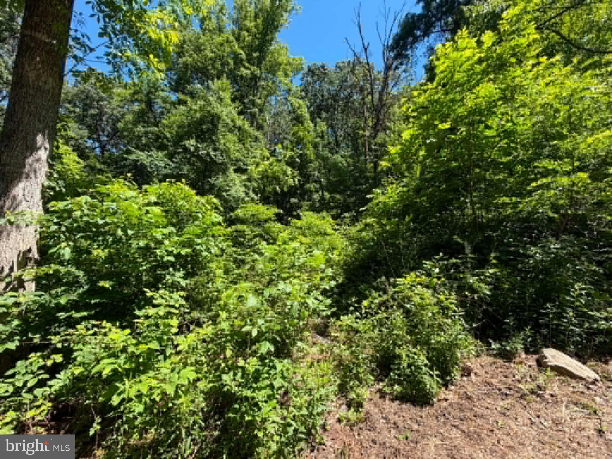 51 Cabin Road Augusta, WV 26704 - Photo 4 of 19