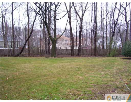 29 Morganville Road Old Bridge, NJ 07747 - Photo 8 of 9 a view of a yard