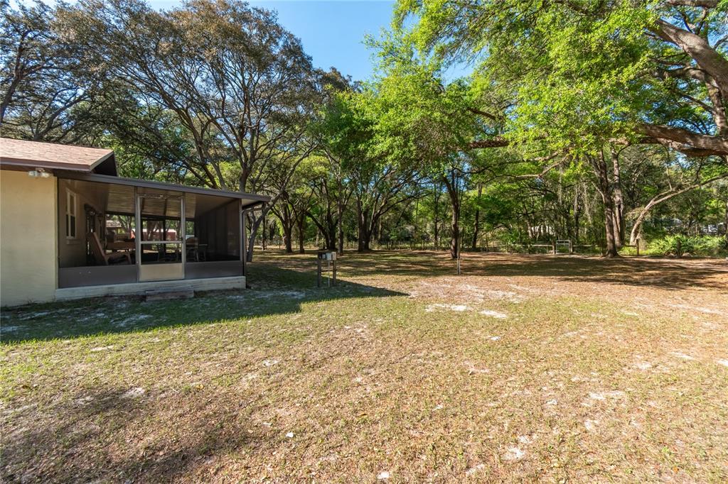 3005 Southeast 160th Ln Road Summerfield, FL 34491 - Photo 46 of 51