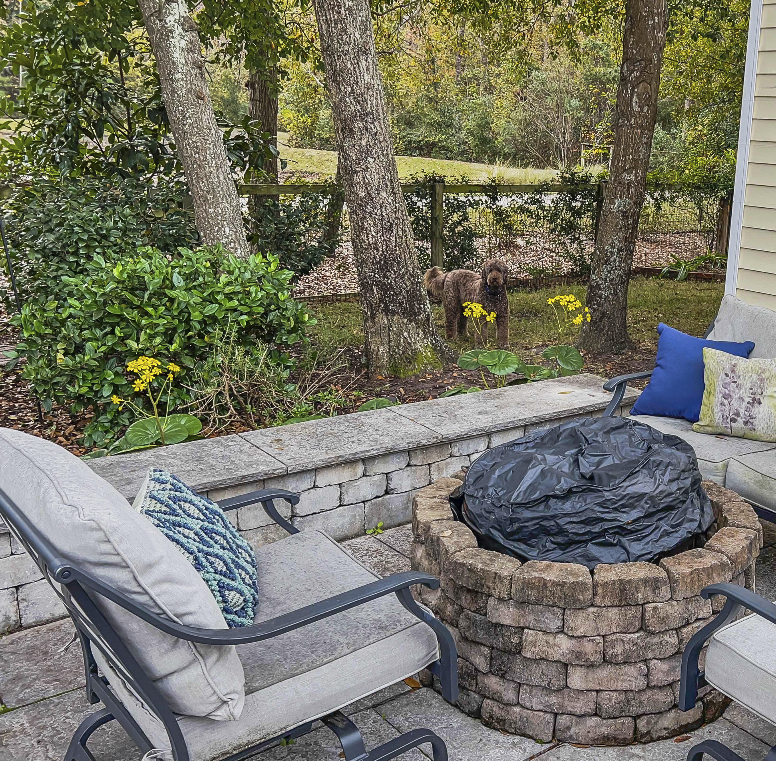 1752 Bee Balm Road Johns Island, SC 29455 - Photo 27 of 34 Firepit and pond beyond