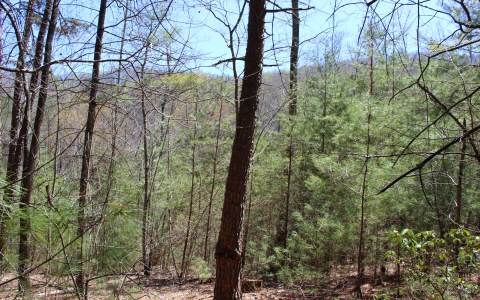 9.4-ac Scouts Ridge Road 3 Road Morganton, GA 30560 - Photo 1 of 1 Main View