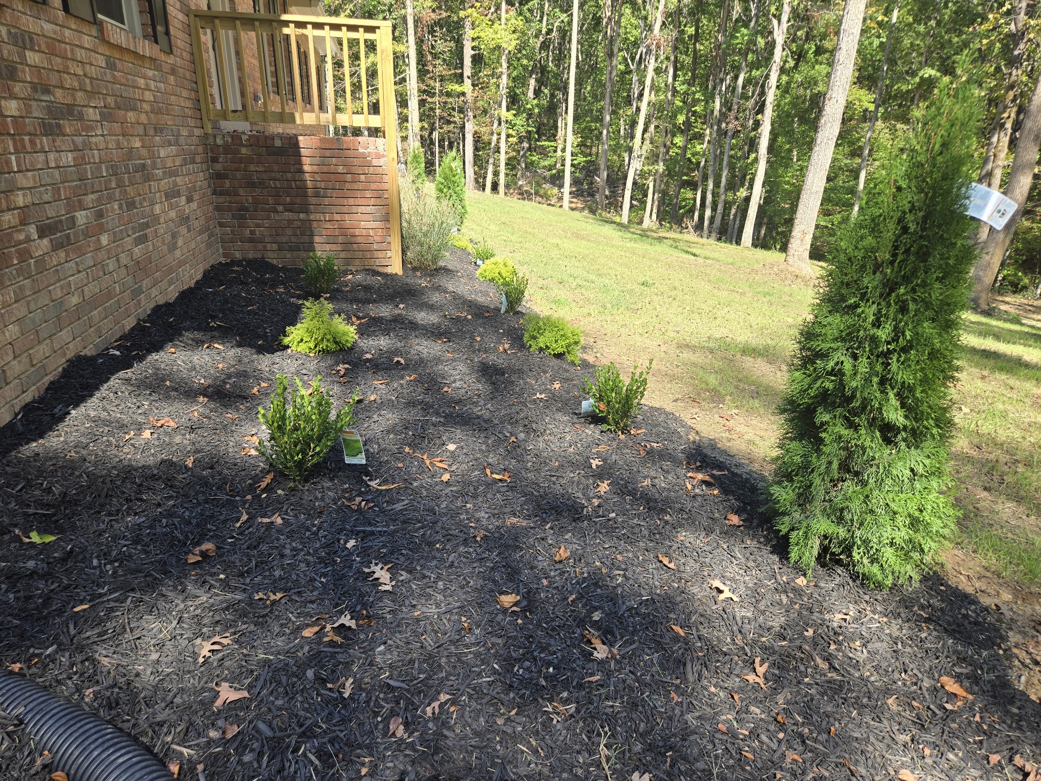 7 Bush Court Waverly, TN 37185 - Photo 11 of 48