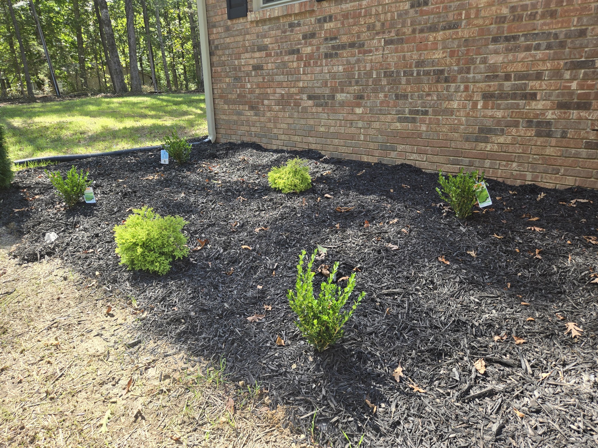 7 Bush Court Waverly, TN 37185 - Photo 12 of 48