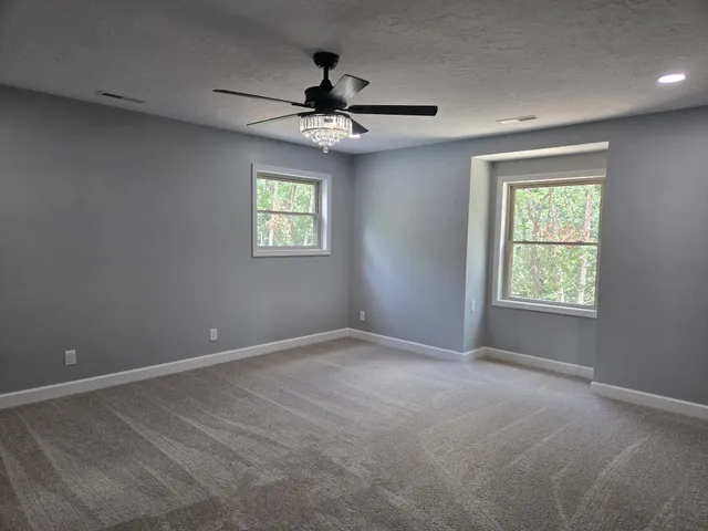 a view of a park with large trees