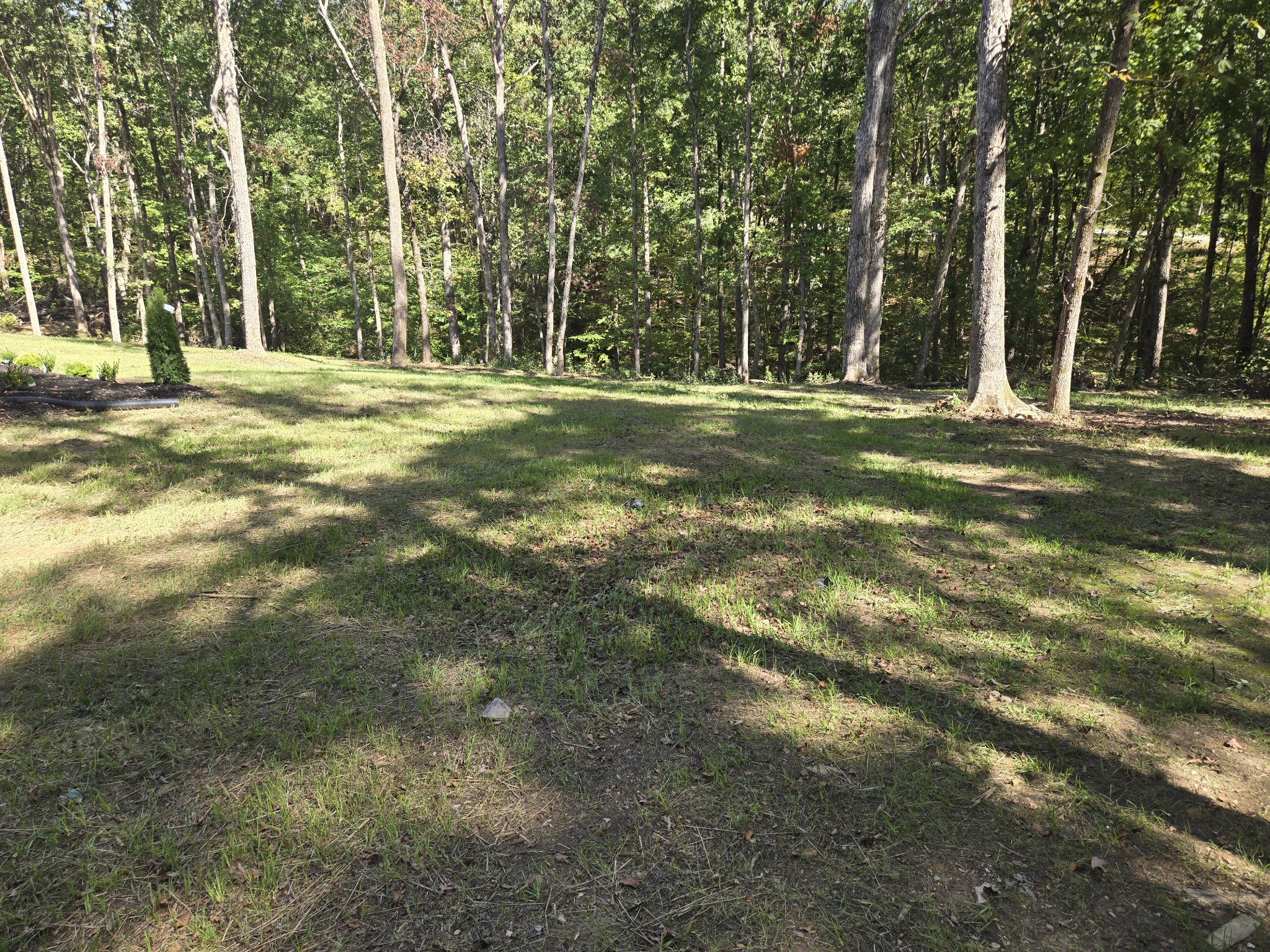 7 Bush Court Waverly, TN 37185 - Photo 46 of 48 a view of a park with large trees